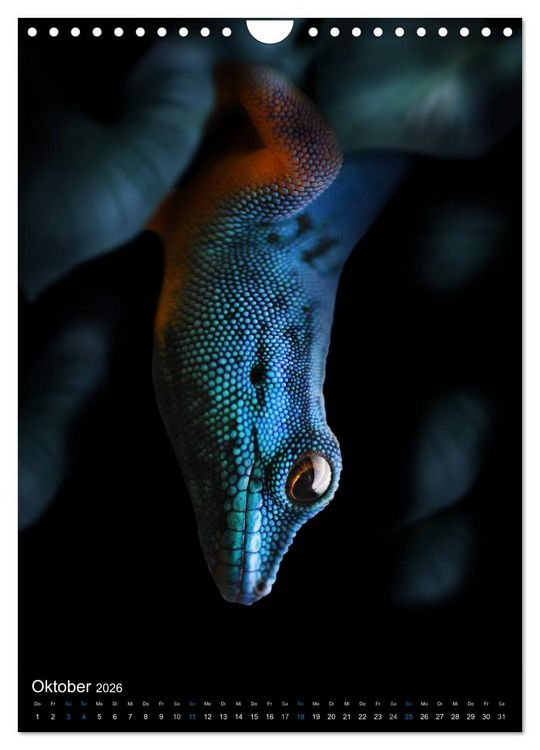 Produktbild: Auge in Auge mit coolen Typen - REPTILIEN (Wandkalender 2026 DIN A4 hoch), CALVENDO Monatskalender