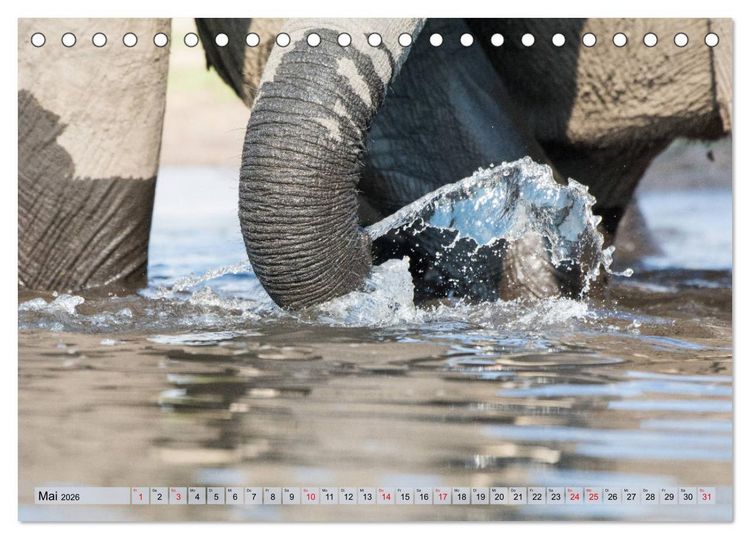 Produktbild: Elefanten - Sanfte Riesen Afrikas (Tischkalender 2026 DIN A5 quer), CALVENDO Monatskalender