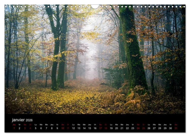 Produktbild: Lumi&egrave;res de Broc&eacute;liande (Calendrier mural 2026 DIN A3 vertical), CALVENDO calendrier mensuel