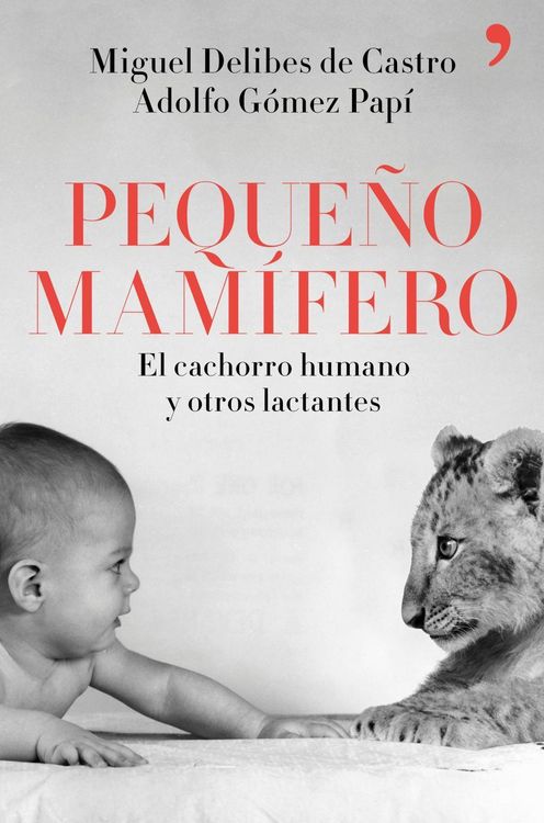 Produktbild: Peque&ntilde;o mam&iacute;fero : el cachorro humano y otros lactantes