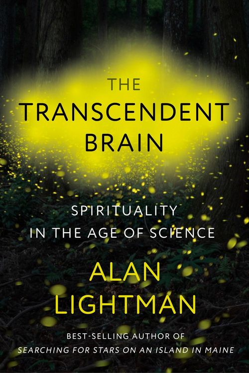 Produktbild: The Transcendent Brain