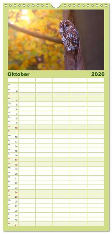 Produktbild: Familienplaner 2026 - geliebte Waldgeister mit 5 Spalten (Wandkalender, 21 x 45 cm) CALVENDO