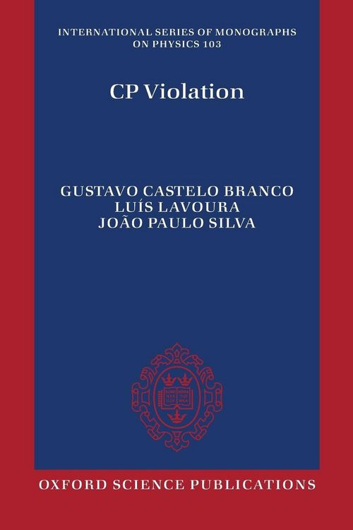 Produktbild: Cp Violation Ismp 103 P