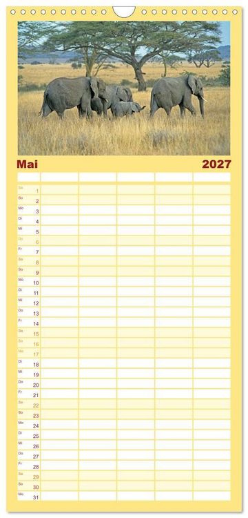 Produktbild: Familienplaner 2027 - Elefanten in der Serengeti mit 5 Spalten (Wandkalender, 21 x 45 cm) CALVENDO