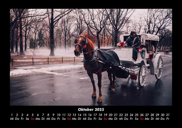 Produktbild: New York 2025 Fotokalender DIN A3