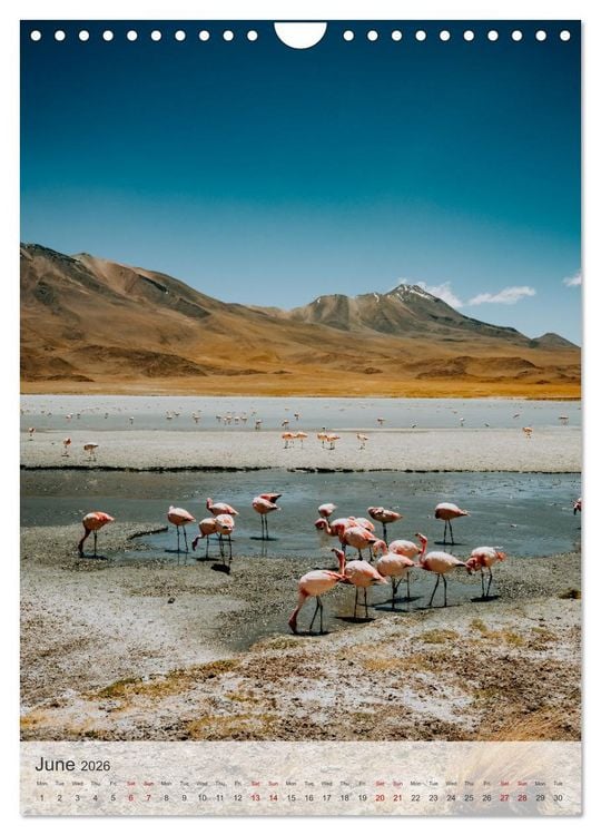 Produktbild: Longing for Travel (Wall Calendar 2026 DIN A4 portrait), CALVENDO 12 Month Wall Calendar
