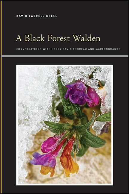 Produktbild: A Black Forest Walden