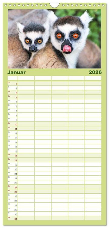 Produktbild: Familienplaner 2026 - Tiere Madagaskars mit 5 Spalten (Wandkalender, 21 x 45 cm) CALVENDO