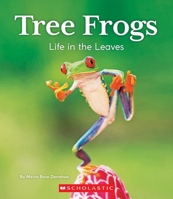 Produktbild: Tree Frogs: Life in the Leaves (Nature's Children)