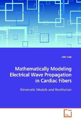 Produktbild: Cain, J: Mathematically Modeling Electrical Wave Propagation