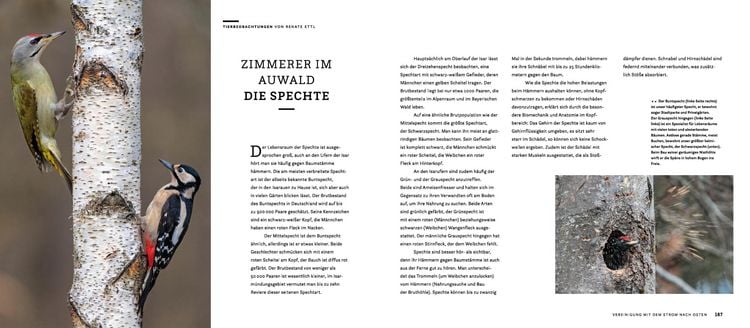 Produktbild: Wilde Isar