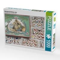 Produktbild: CALVENDO Puzzle Naturgeschichtliches Lotto 1000 Teile Lege-Gr&ouml;&szlig;e 64 x 48 cm Foto-Puzzle Bild von WEIBKIWI
