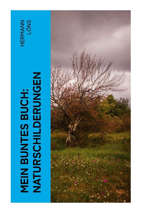 Produktbild: Mein buntes Buch: Naturschilderungen