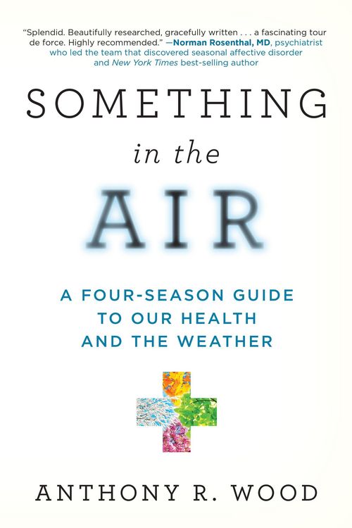 Produktbild: Something in the Air