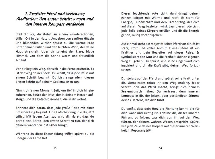 Produktbild: 52 Seelenweg und Krafttier Meditationen