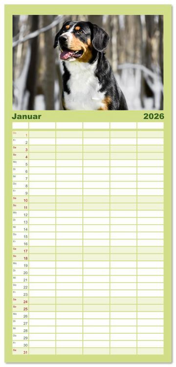 Produktbild: Familienplaner 2026 - Entlebucher - Temperamentvolle Schweizer Sennenhunde mit 5 Spalten (Wandkalender, 21 x 45 cm) CALVENDO