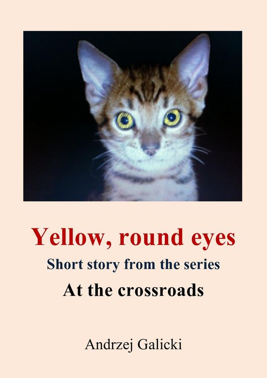 Produktbild: Yellow, Round Eyes - Mystery Short Story