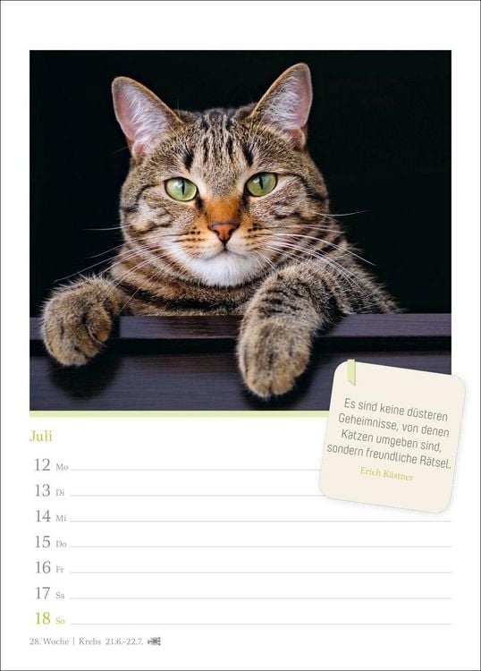 Produktbild: Katzengl&uuml;ck Wochenkalender 2027 - mit Zitaten
