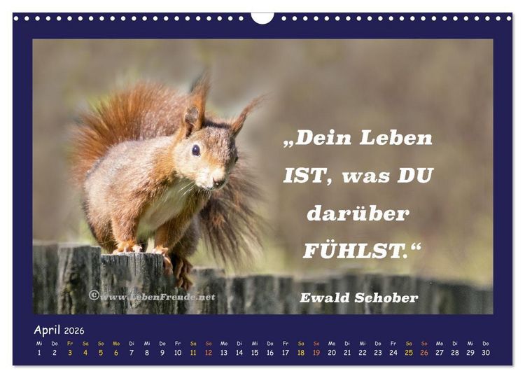Produktbild: Bewusst leben und gl&uuml;cklich sein (Wandkalender 2026 DIN A3 quer), CALVENDO Monatskalender