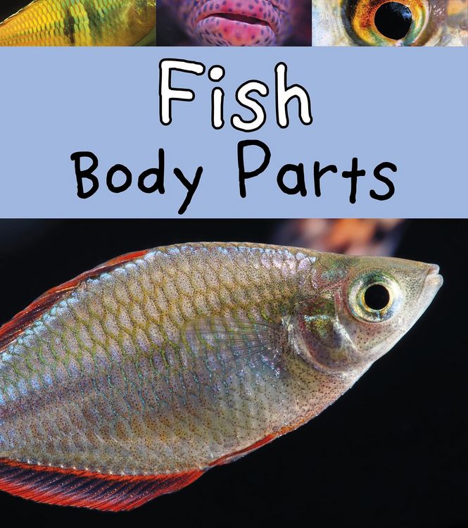 Produktbild: Fish Body Parts