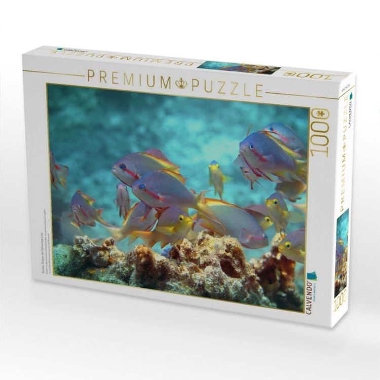 Produktbild: CALVENDO Puzzle Buntes Treiben der Fahnenbarsche | 1000 Teile Lege-Gr&ouml;&szlig;e 64x48cm Foto-Puzzle f&uuml;r gl&uuml;ckliche Stunden