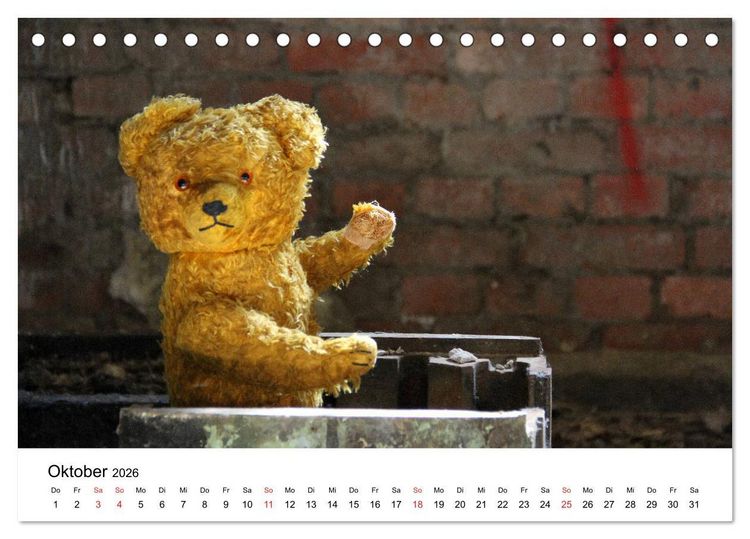 Produktbild: Teddys...jeder liebt sie (Tischkalender 2026 DIN A5 quer), CALVENDO Monatskalender