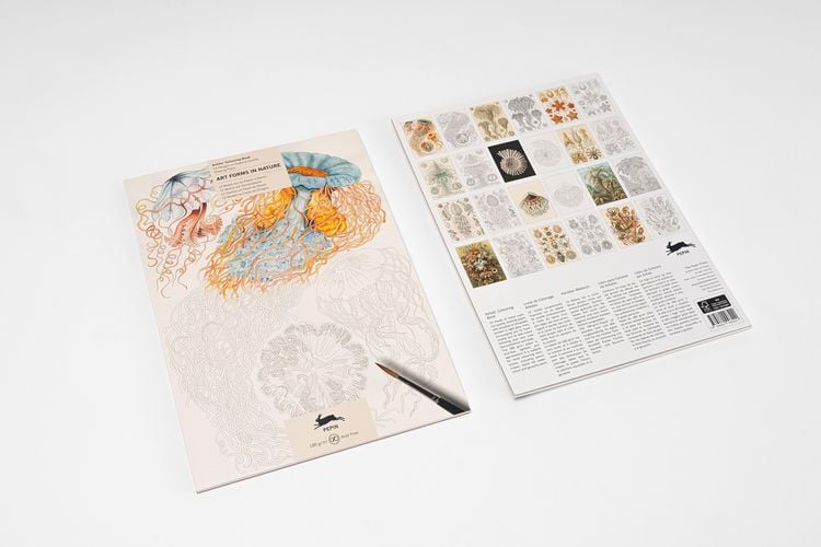 Produktbild: Art Forms in Nature