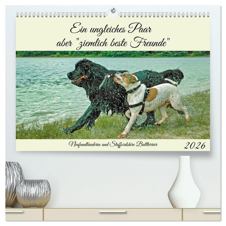 Produktbild: Ein ungleiches Paar aber "ziemlich beste Freunde" (hochwertiger Premium Wandkalender 2026 DIN A2 quer), Kunstdruck in Hochglanz