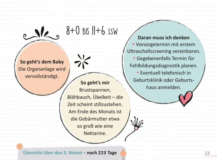 Produktbild: Deine Schwangerschaft, Tag f&uuml;r Tag