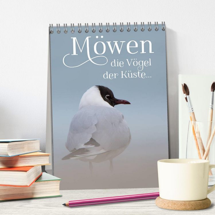 Produktbild: M&ouml;wen - die V&ouml;gel der K&uuml;ste (Tischkalender 2026 DIN A5 hoch), CALVENDO Monatskalender