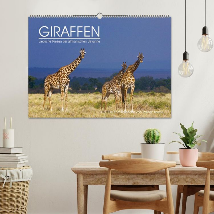 Produktbild: GIRAFFEN - Liebliche Riesen der afrikanischen Savanne (Wandkalender 2026 DIN A2 quer), CALVENDO Monatskalender