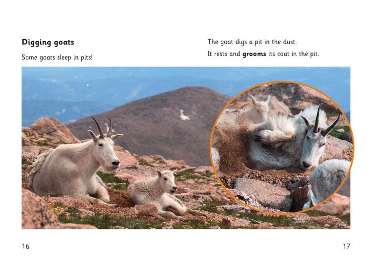 Produktbild: Goat Skills
