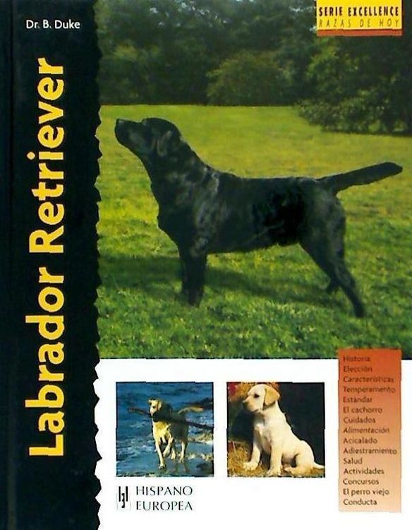 Produktbild: Labrador retriever