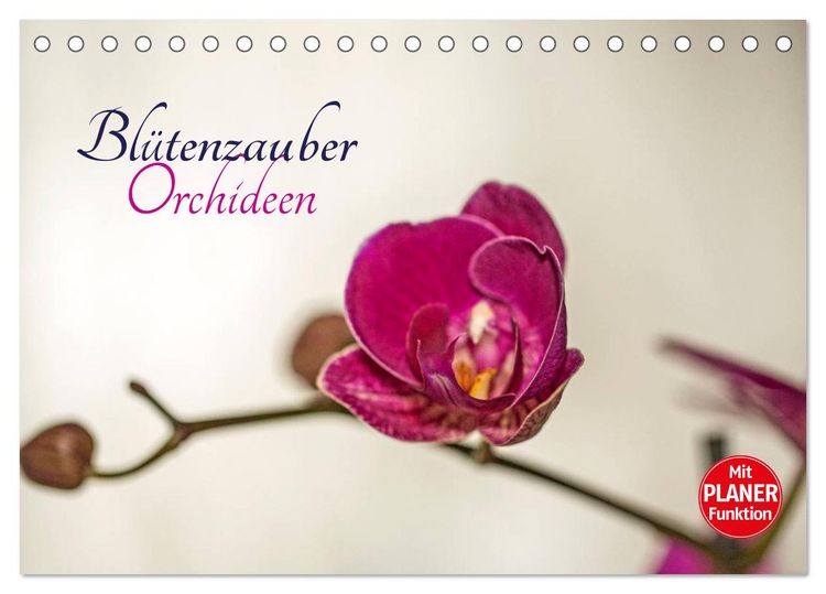 Produktbild: Bl&uuml;tenzauber Orchideen (Tischkalender 2026 DIN A5 quer), CALVENDO Monatskalender