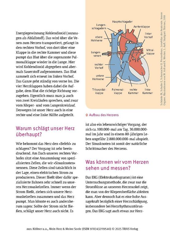 Produktbild: Mein Herz & Meine Seele