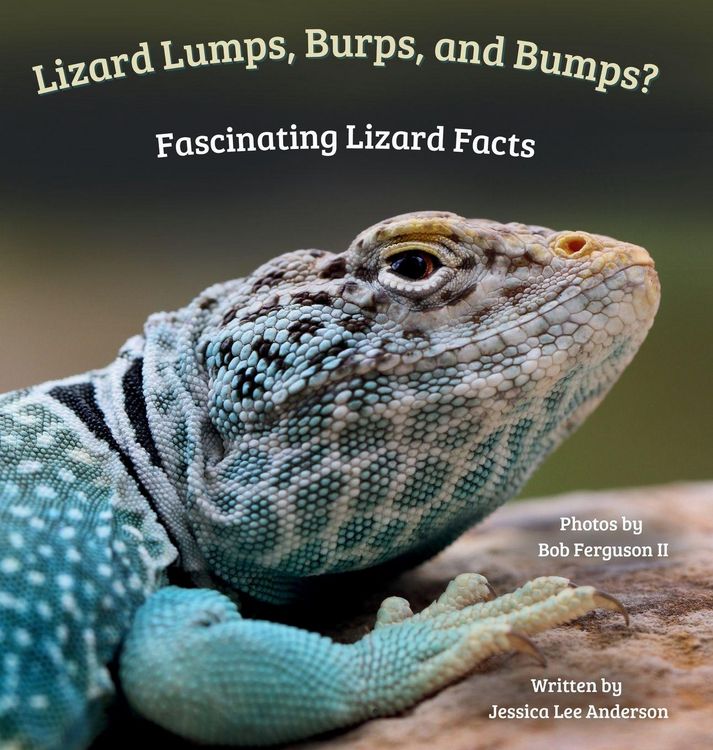 Produktbild: Lizard Lumps, Burps, and Bumps? Fascinating Lizard Facts
