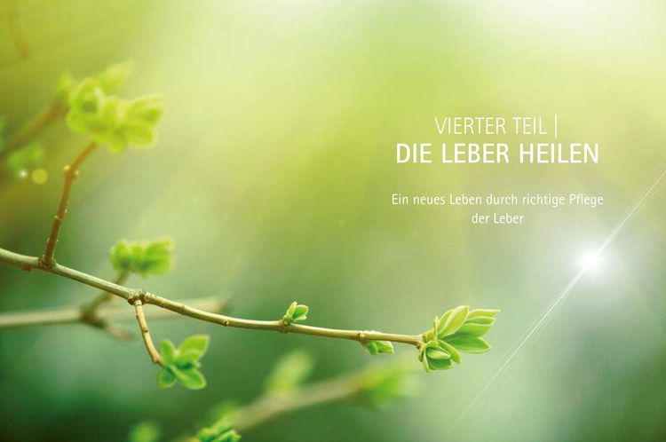 Produktbild: Heile deine Leber