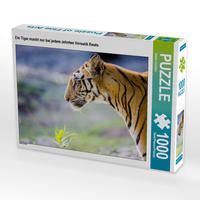 Produktbild: CALVENDO Puzzle Ein Tiger macht nur bei jedem zehnten Versuch Beute. | 1000 Teile Lege-Gr&ouml;&szlig;e 64x48cm Foto-Puzzle f&uuml;r gl&uuml;ckliche Stunden