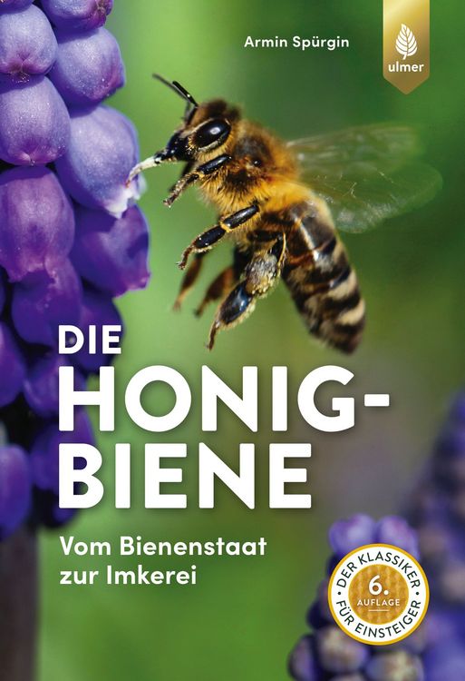 Produktbild: Die Honigbiene