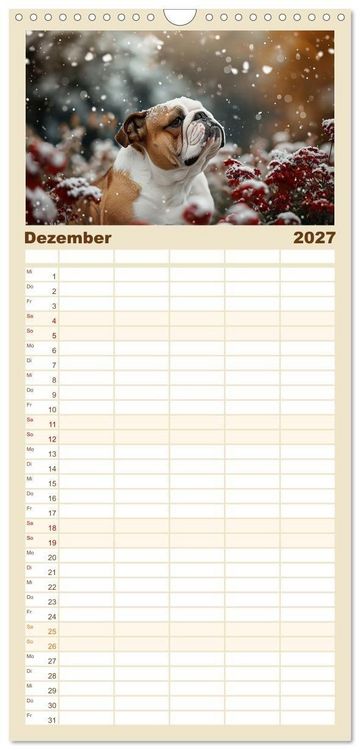 Produktbild: Familienplaner 2027 - Englische Bulldoggen im Bl&uuml;tenmeer mit 5 Spalten (Wandkalender, 21 x 45 cm) CALVENDO