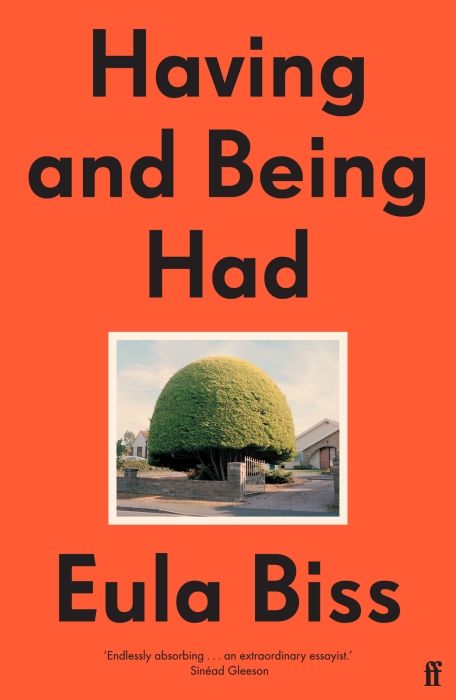 Produktbild: Having and Being Had