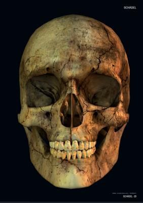 Produktbild: Skulls & Bones