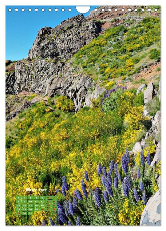 Produktbild: Madeiras Flora. Wundersame Wildblumen und exotische Geh&ouml;lze (Wandkalender 2027 DIN A4 hoch), CALVENDO Monatskalender