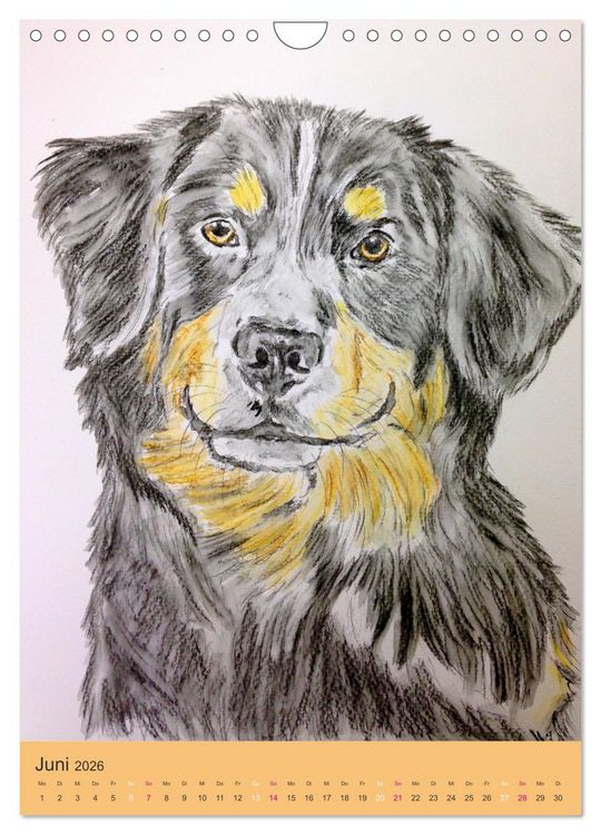Produktbild: Hunde - Bezaubernde Portraitzeichnungen (Wandkalender 2026 DIN A4 hoch), CALVENDO Monatskalender