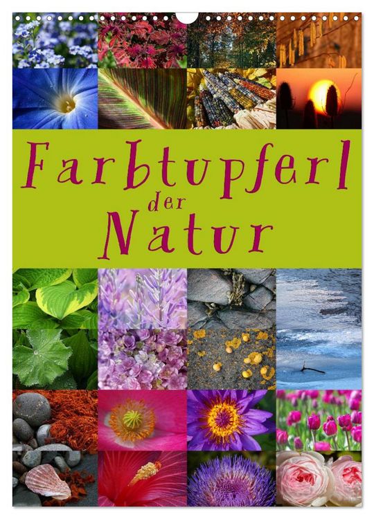Produktbild: Farbtupferl der Natur (Wandkalender 2026 DIN A3 hoch), CALVENDO Monatskalender