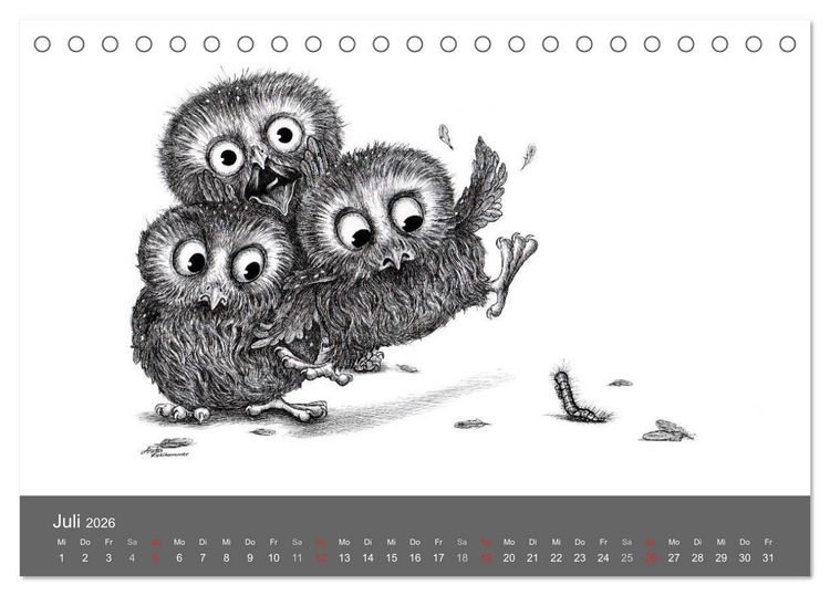 Produktbild: owls & friends 2026 (Tischkalender 2026 DIN A5 quer), CALVENDO Monatskalender