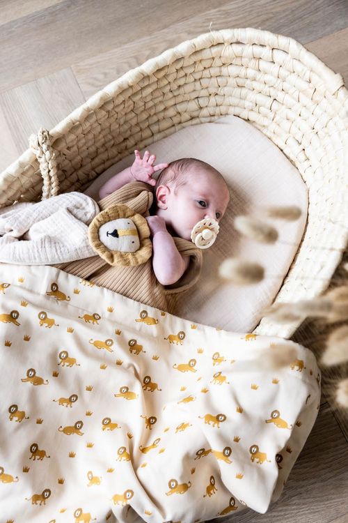 Produktbild: Schmusetuch - Bliss Beige - Mr. Lion