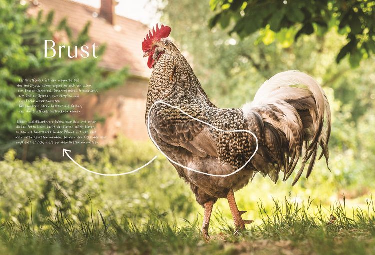 Produktbild: Das ganze Huhn