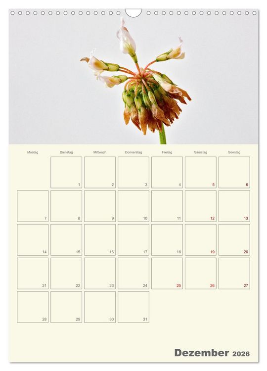 Produktbild: Blumenmetamorphosen (Wandkalender 2026 DIN A3 hoch), CALVENDO Monatskalender