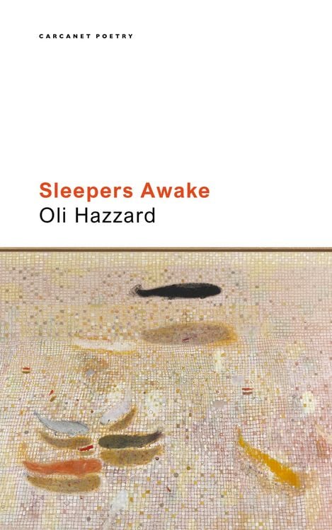 Produktbild: Sleepers Awake